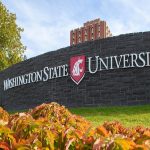 washington state university usa