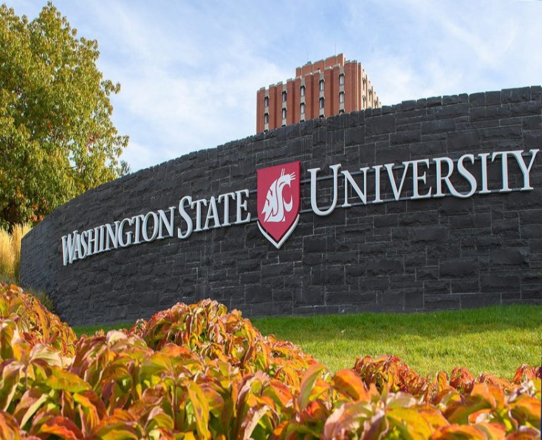 washington state university usa